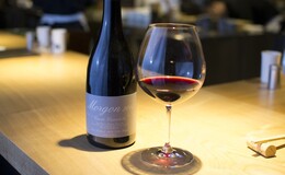 Yakitori Imai's image 7