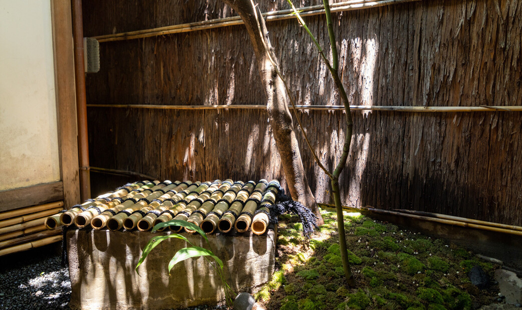 Gokomachi Tagawa's image 5