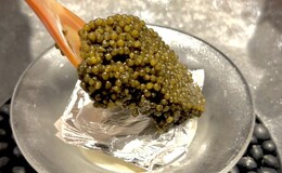 【임시 휴업 중】Restaurant DESTINA's image 8