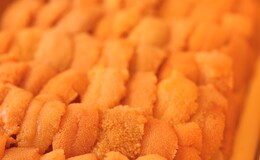 스시 미우라's image 5