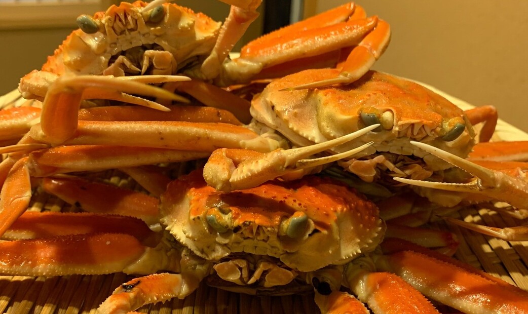 스시 미즈노's image 13