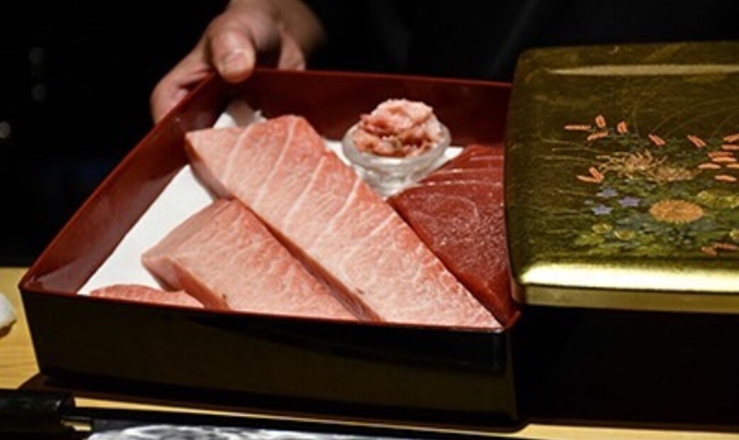 스시도코로 이케가미's image 11