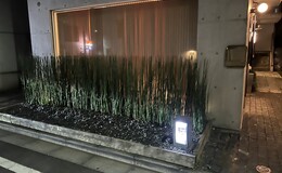 西麻布 拓's image 1