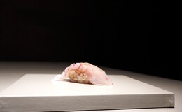 후카사카's image 1