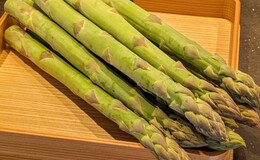 【暫停營業中】天婦羅 拓's image 5