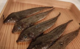 【暫停營業中】天婦羅 拓's image 8