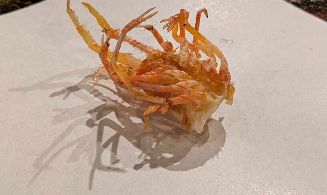 【暫停營業中】天婦羅 拓's image 10