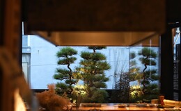 炭火烧 鸟清's image 3