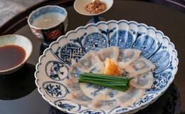 닌교초 키미's image 1