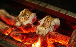 갓포 류's image 4