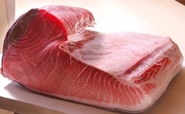 赤坂 Sushi Minohara's image 4