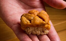 시노노메's image 2