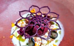 Le Logis h's image 5