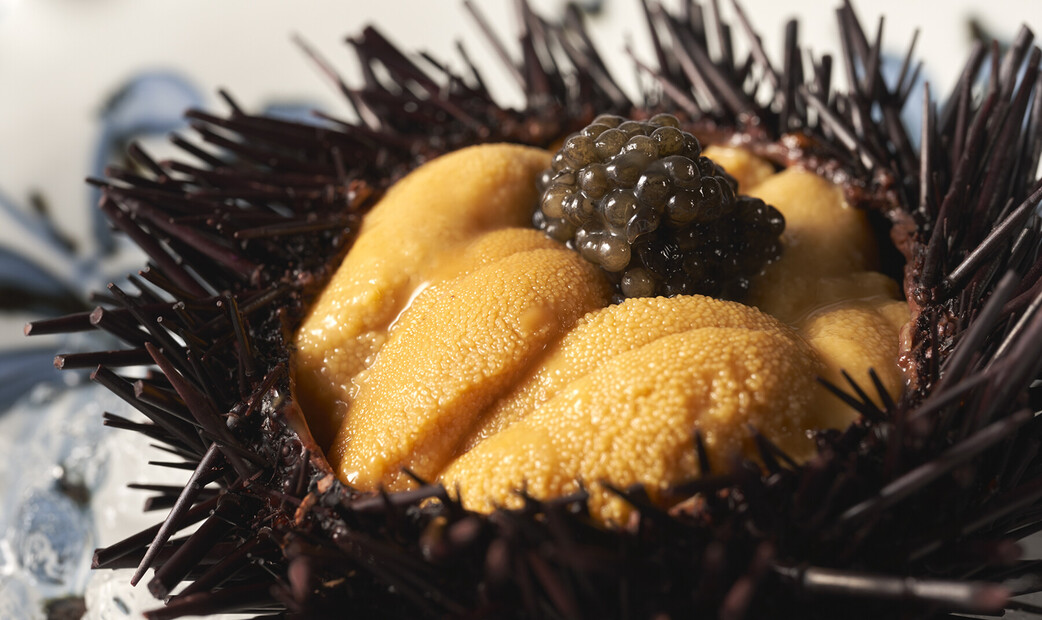 Teppanyaki Iwakura's image 4