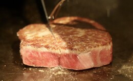 Honten Yamashina's image 3