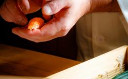 스시 미즈노's image 8