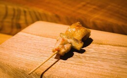 토리쇼 사이's image 1