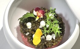 마타사부로's image 1