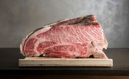 小石川 中勢以's image 1