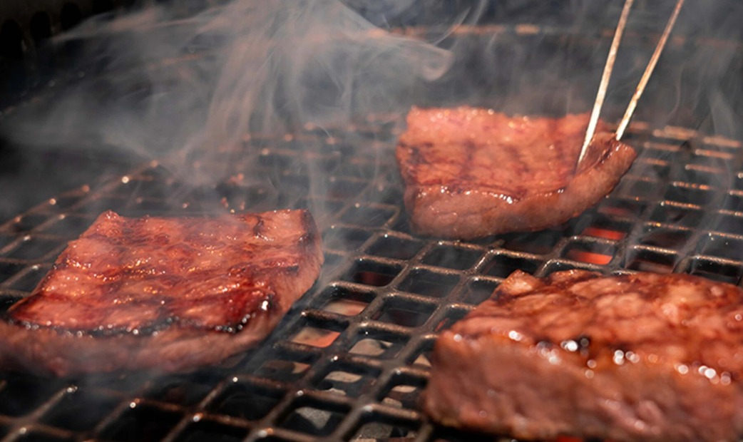 meat grilled on a grill