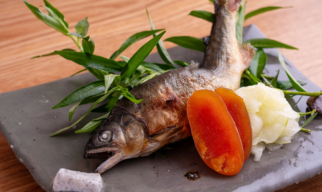 치소우 곤도우's image 6