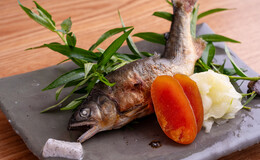 치소우 곤도우's image 6