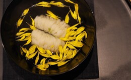 Nogizaka Shin's image 7