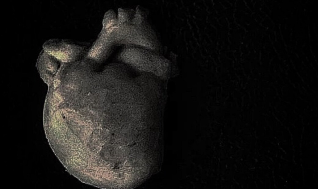 HIGASHITANI's image 8