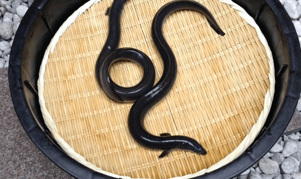 3. 이리야 키시모진몬마에 노다야(入谷鬼子母神門前のだや)