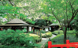 Teppanyaki Sekishintei (Hotel New Otani)'s image 5