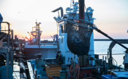 Tachiguisushi Yusho's image 2