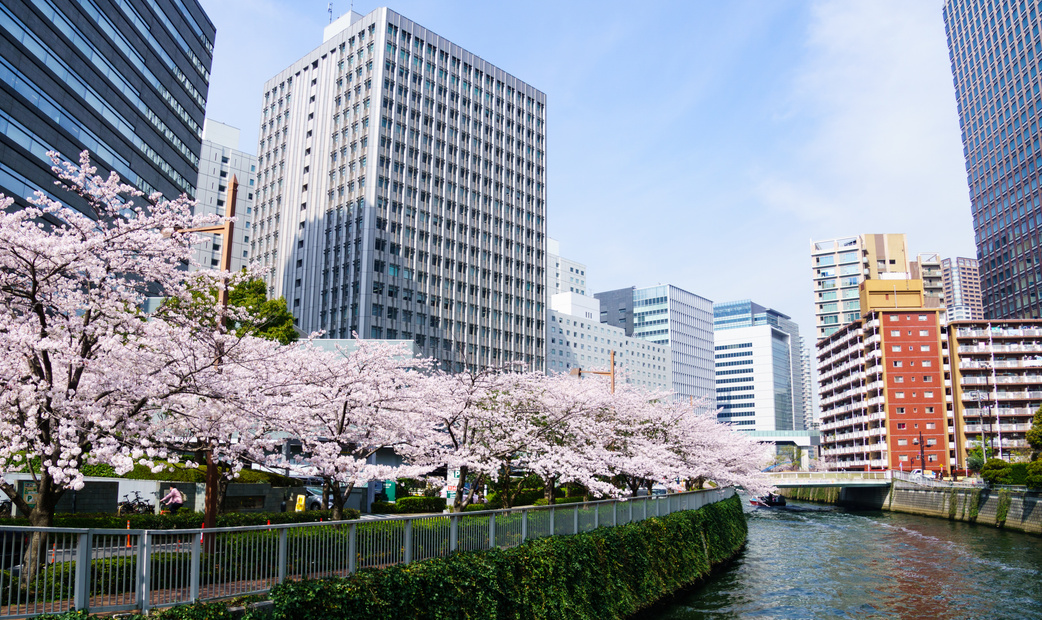 五反田地區非常適合商務活動和散步休閒