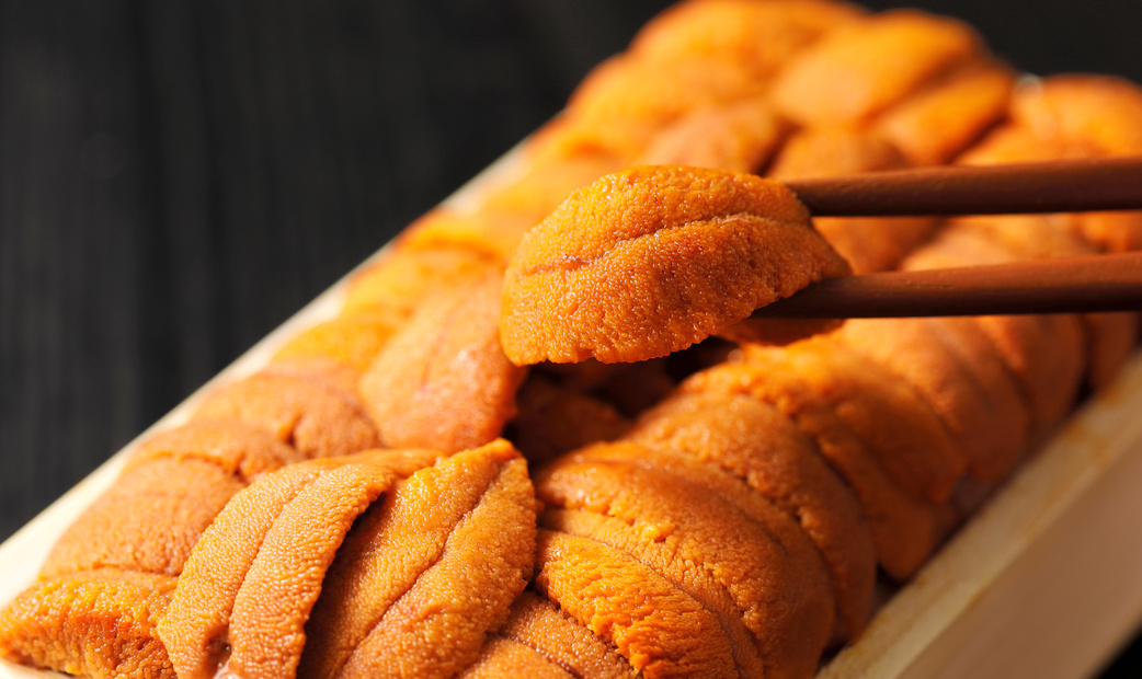 우니란 무엇인가? 종류, 계절, 그리고 도쿄에서 추천하는 5곳의 스시 전문점