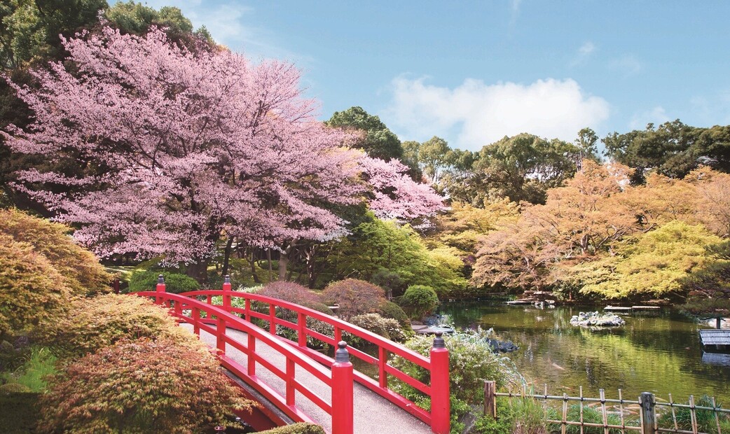 Teppanyaki Sekishintei (Hotel New Otani)'s image 1