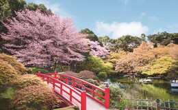 Teppanyaki Sekishintei (Hotel New Otani)'s image 1