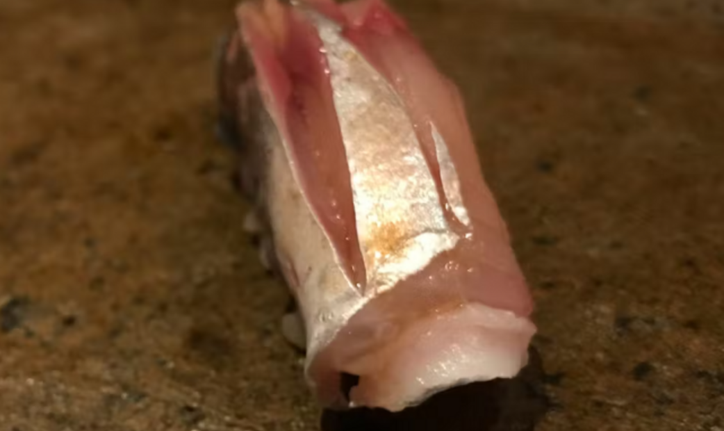 Sushi Kubota's image 4