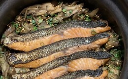 Haruyoshi Kujira's image 2