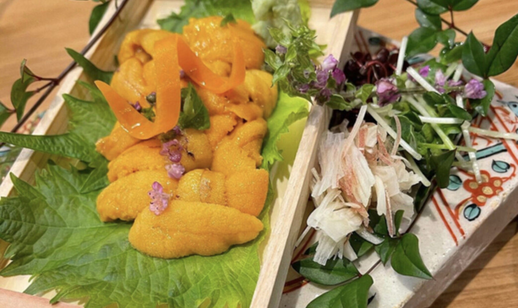 Haruyoshi Kujira's image 4