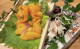 Haruyoshi Kujira's image 4