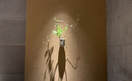 Sushi Tamon's image 3