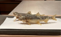 Tempura Tenkou's image 1