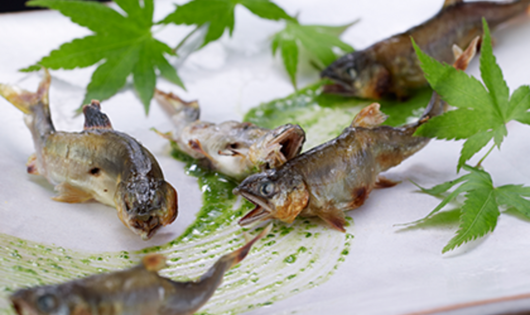 Japanese creative restaurant NAGAOKA's image 3