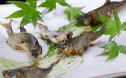 일본요리 나가오카's image 3