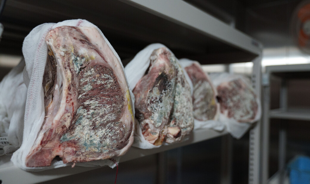 AKAMIYA COWSI's image 3