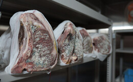 AKAMIYA COWSI's image 3