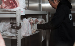 AKAMIYA COWSI's image 4