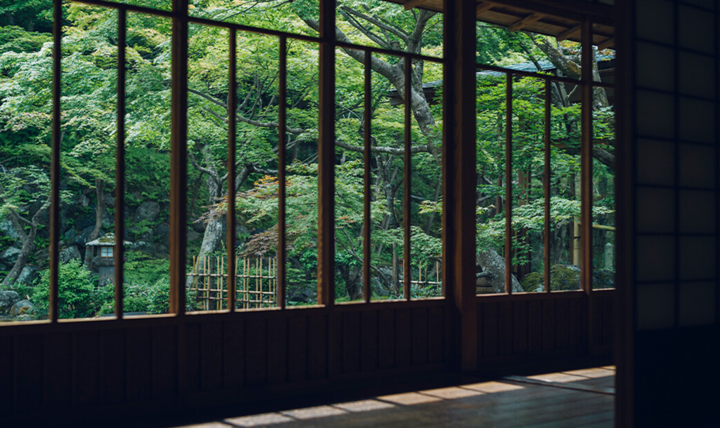 고다이지 주규안's image 13