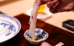 시로카네 니시다's image 1