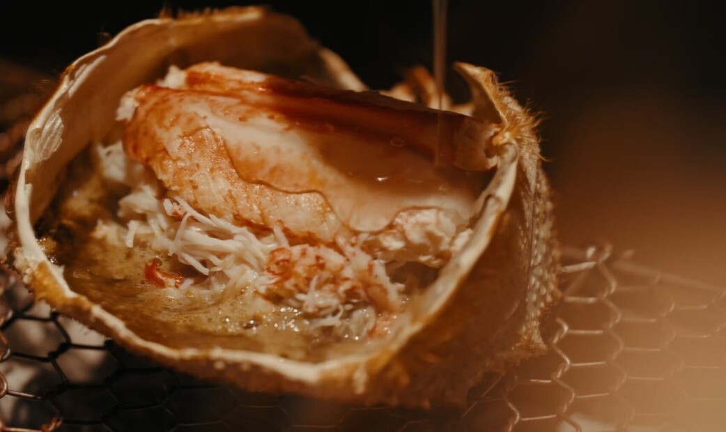 Shirokane Nishida's image 3