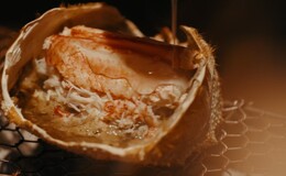 시로카네 니시다's image 3